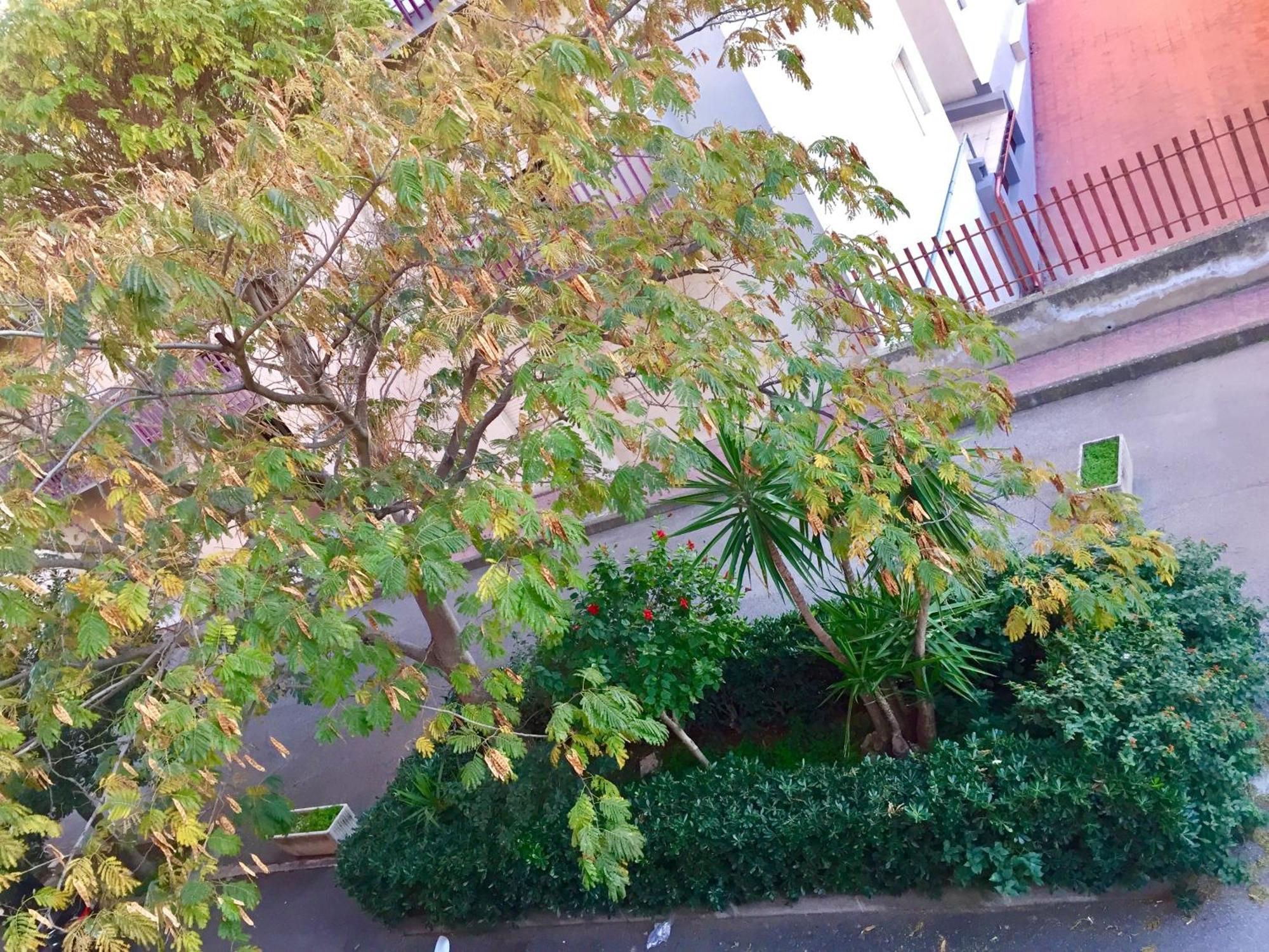 Casa Cristina Daire Comiso Dış mekan fotoğraf